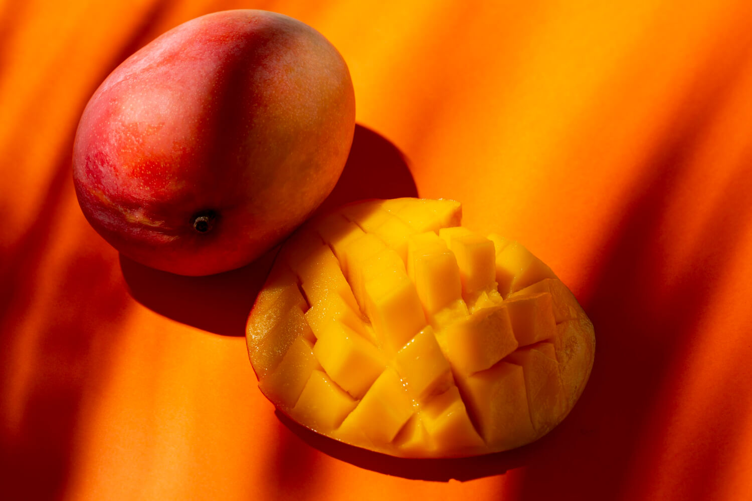 mango mango