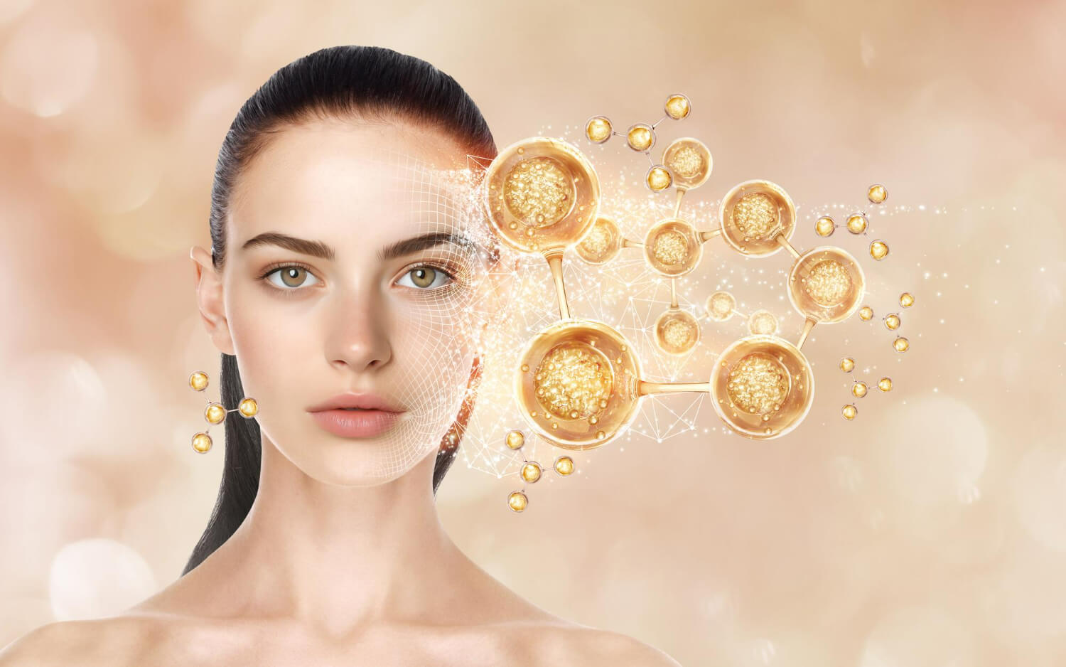 acid hialuronic acid hialuronic