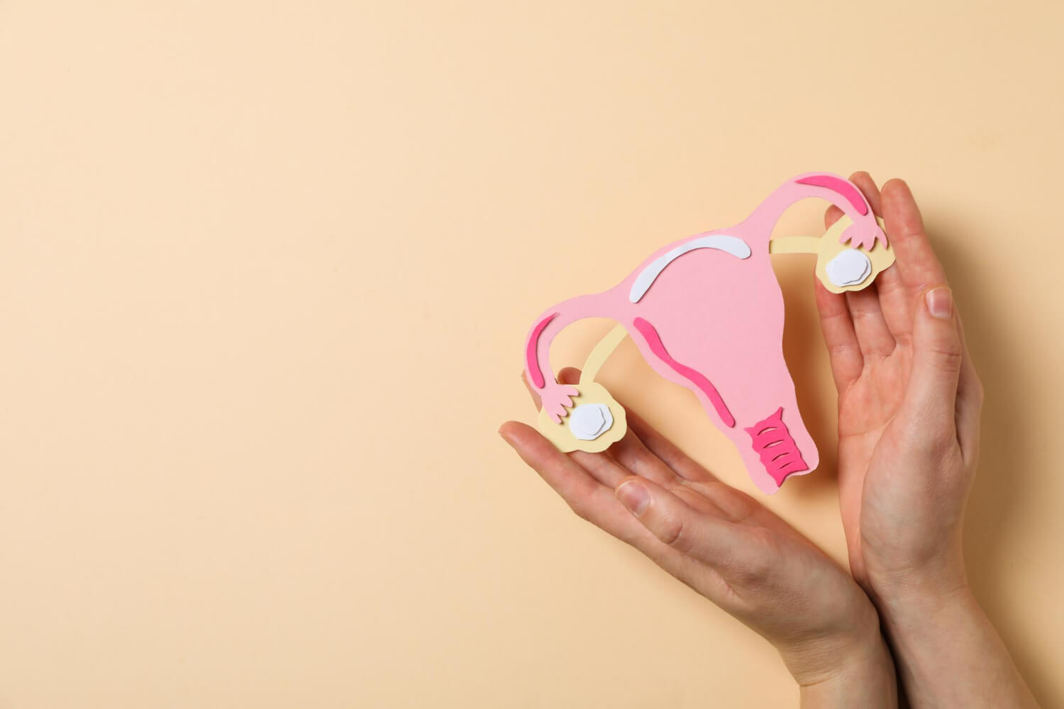 Menopauza pe intelesul tuturor Menopauza pe intelesul tuturor